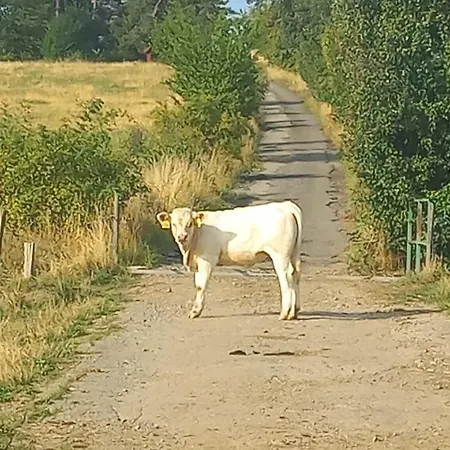 Vakantiehuis Chata Lhotka *