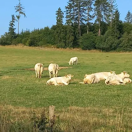 Chata Lhotka Vakantiehuis *